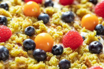 Moostorte aus grünem Biscuit mit Quark, Sahne, Früchte, Blaubeere, Himbeere, Physalis auf Holz