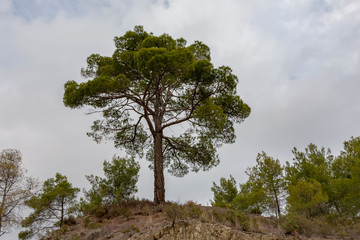 Im Troodos-Gebirge