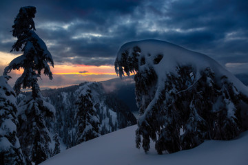 Canadian Nature Landscape covered in fresh white Snow during colorful and vibrant winter sunset. Taken in Seymour Mountain, North Vancouver, British Columbia, Canada.