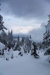 Fototapeta na wymiar Canadian Nature Landscape covered in fresh white Snow during colorful winter sunset. Taken in Seymour Mountain, North Vancouver, British Columbia, Canada. Panorama