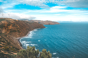 Makara beach natural scenes in Wellington, New Zealand