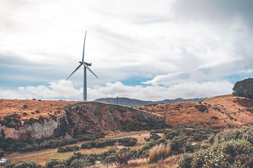 Landscape of Makara Beach in Wellington, New Zealand 