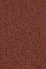 vintage Italian leather texture background, hi res aged leather detail overlay for graphic design