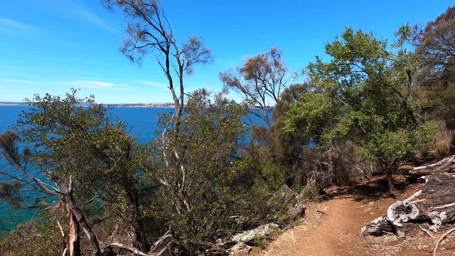 view of the natural landscape along the Boronia Beach walking track