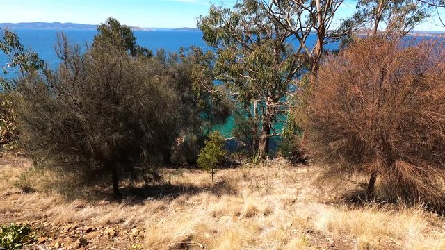 view of the natural landscape along the Boronia Beach walking track