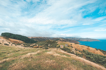Fototapeta na wymiar Landscape of Makara Beach in Wellington, New Zealand 
