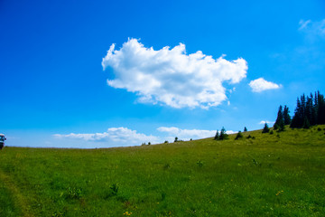 Obraz premium View on the meadow on the Bosnian mountain Vranica