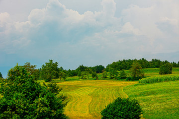 Fields and crops on a hill in the country of Slovenia