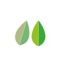 Tree Leaf Vector icon Illustration design template