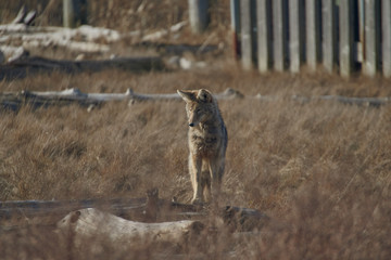 Tomi Fernandez Photography