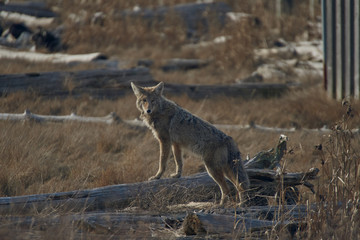 Tomi Fernandez Photography