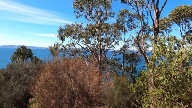 view of the natural landscape at Boronia beach and along the walking track with clear water of the Derwent River and beautiful coastline
