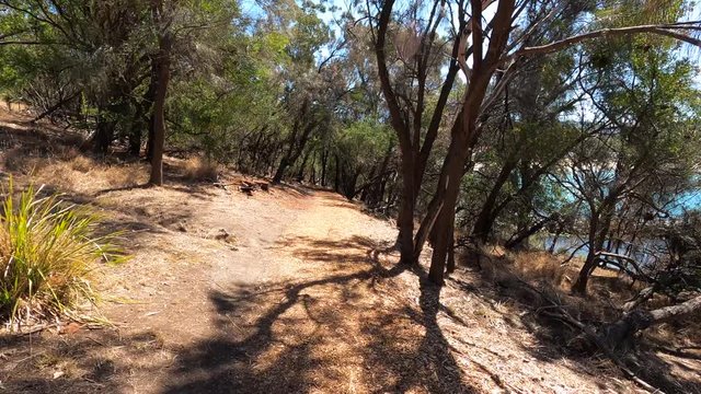 rugged bush walking track and its view of the natural landscape at Boronia beach in Hobart, Tasmania