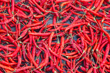 Red chilli to dry the chilies for Food preservation