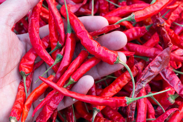 Red chilli to dry the chilies for Food preservation