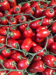 cherry tomatoes on the market