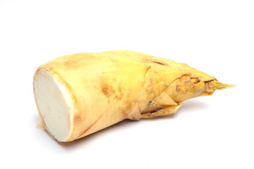 Fresh winter bamboo shoots