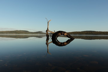 serpiente marina de madera