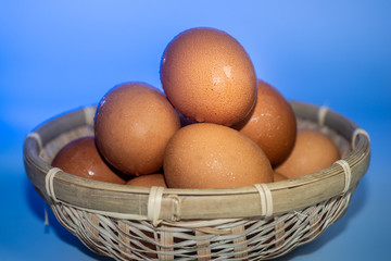 Fresh eggs with water condensation in a rattan basket. Isolated on blue background. Shallow depth of field.