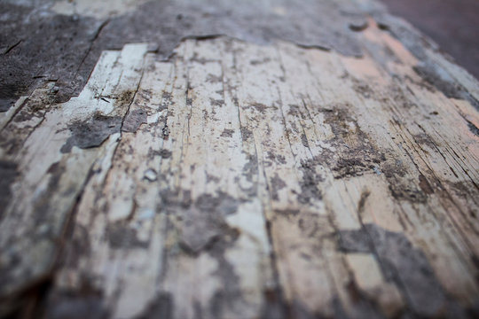 Fondo de madera vieja blanca con textura