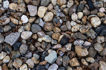 river rocks