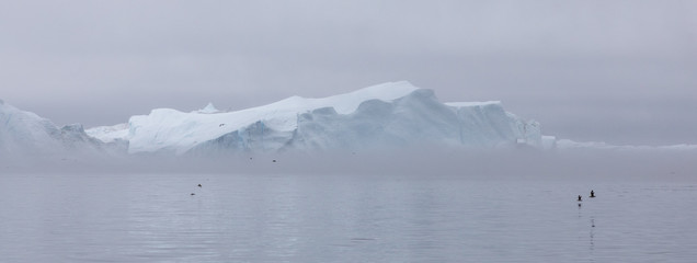 Floating icebergs in Disko Bay, ilulissat, Greenland