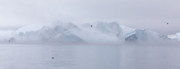 Floating icebergs in Disko Bay, ilulissat, Greenland
