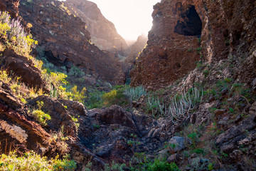 Los Gigantes, Teneriffa, Spanien, im Sommer