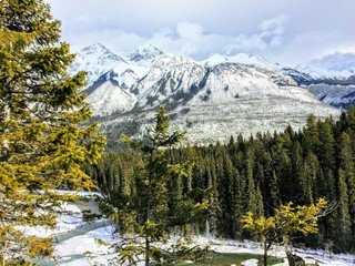 An incredible winter landscape with beautiful fir trees and dark green evergreen forest, a frozen river, and beautiful snow capped mountains.  A majestic snowy landscape in the rocky mountains, Canada
