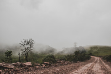 Montañas con neblina