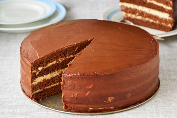 Chocolate sponge cake with custard on a gray background