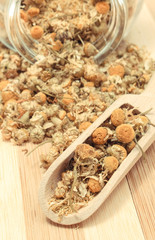 Dried chamomile pouring out of glass jar. Alternative medicine