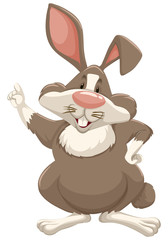 Cute bunny with brown fur on white background