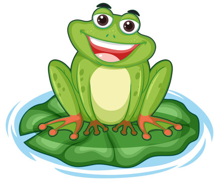 Happy frog with big smile sitting on the leaf