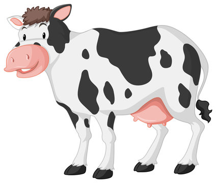 Cute cow with big smile on white background