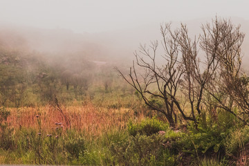 Dentro de la nube de la montaña brasilera