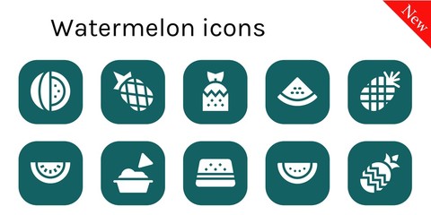 Modern Simple Set of watermelon Vector filled Icons