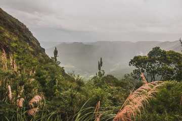 Montañas con neblina