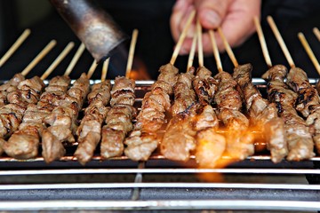 여행중에만난것