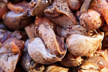 여행중에만난것