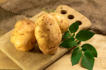 Raw potato food . Fresh potatoes with leaf on wooden ,black background. selective focus