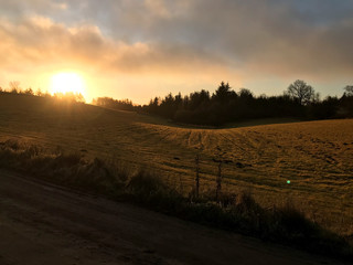 Obraz premium Beautiful morning