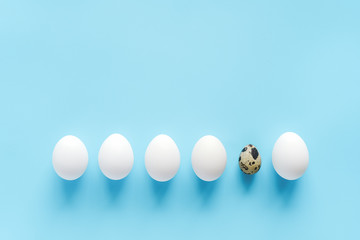 One quail egg among a row of white eggs on blue background with copy space. Happy easter or Not like everyone else concept. Creative Flat lay Top view. Template for design, invitation, postcard