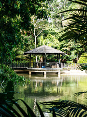 Gazebo at the pond of the Singapore Botanic Gardens