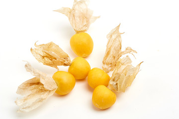 Lantern fruit gold girl