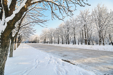Winter street in snow. Beautiful winter trees branches with a lot of snow. Snow covered trees along the road. Uncleaned city streets
