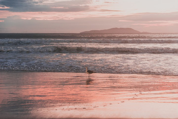 Amanecer en la playa brasilera