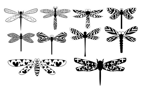 dragonfly vector set collection graphic clipart design
