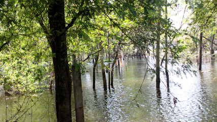 Obraz premium BANGKOK, THAILAND, The damage after Thai flood crisis ,November 17, 2011 in Bangkok, Thailand