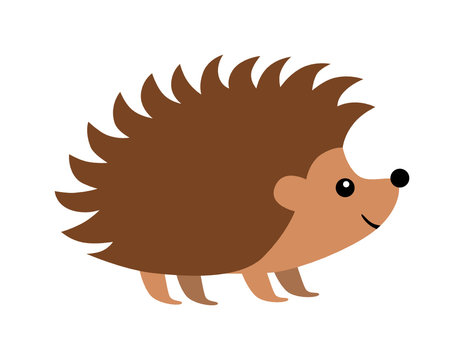 cute cartoon hedgehog
